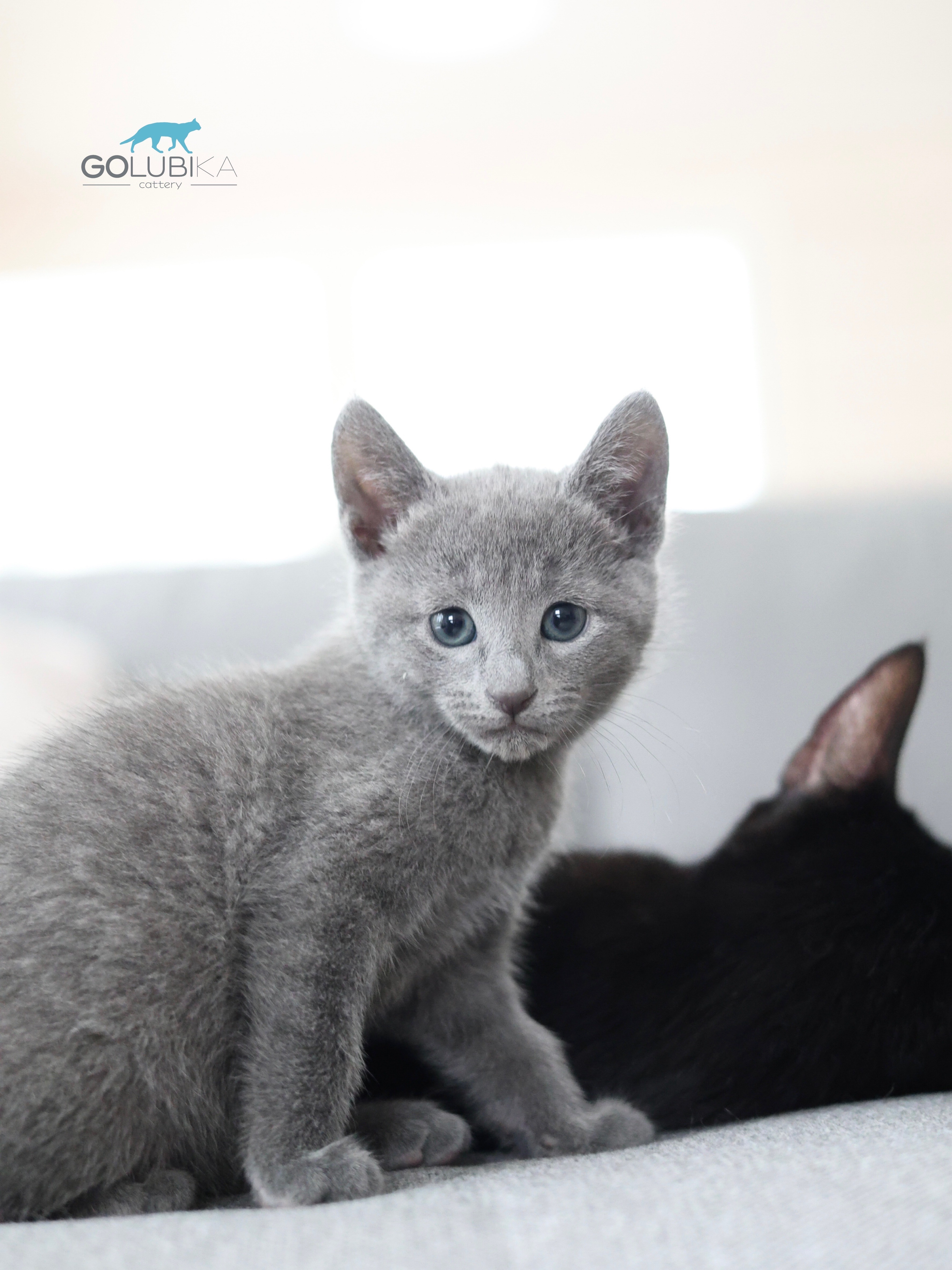 Планируемый Помет H - 2027