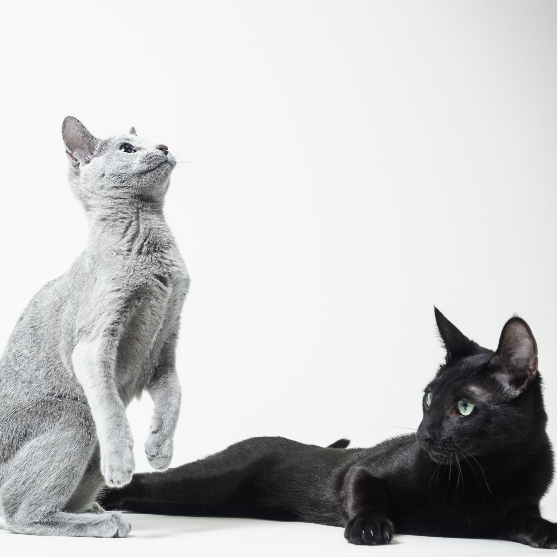 Планируемый Помет G - 2026