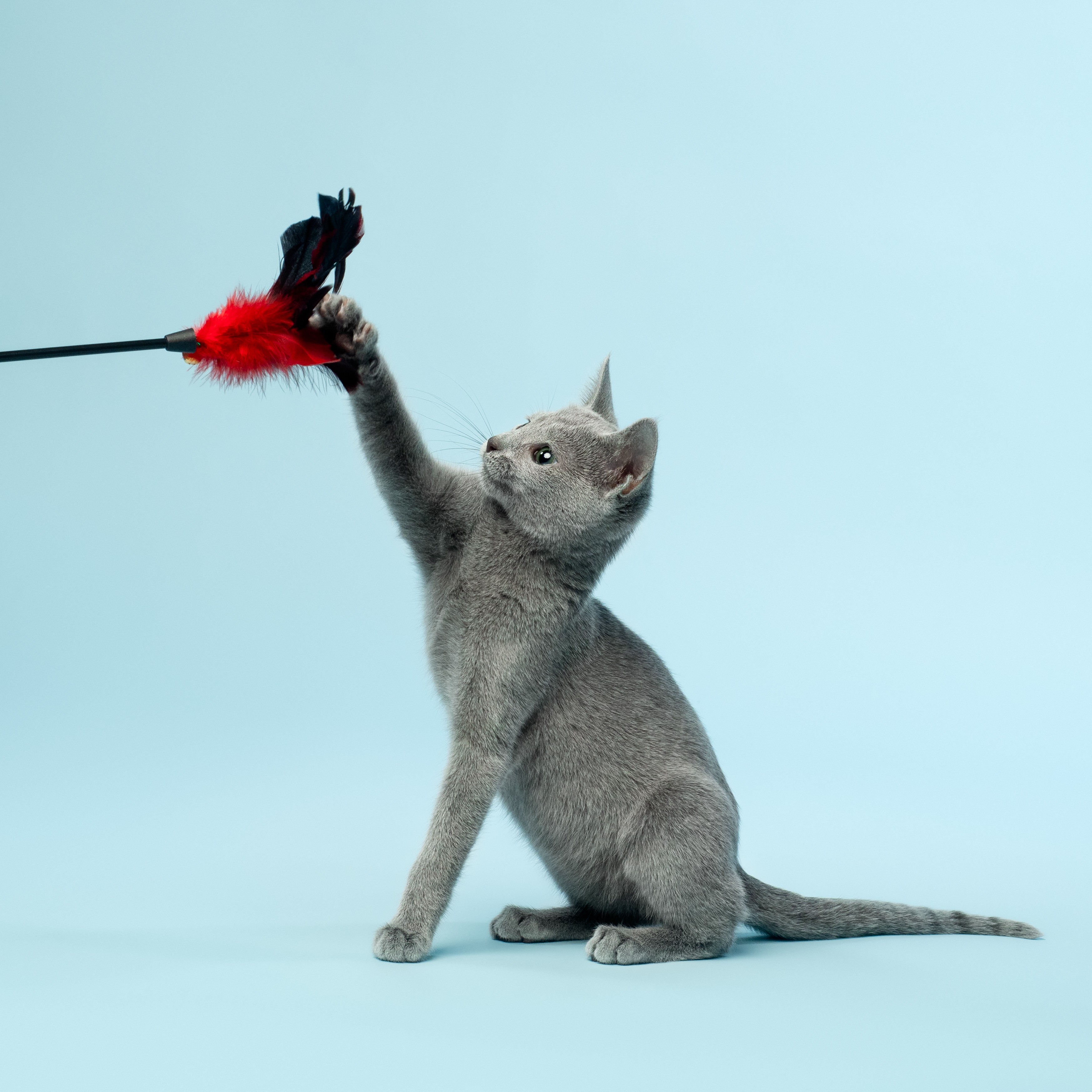 Планируемый Помет E - 2026