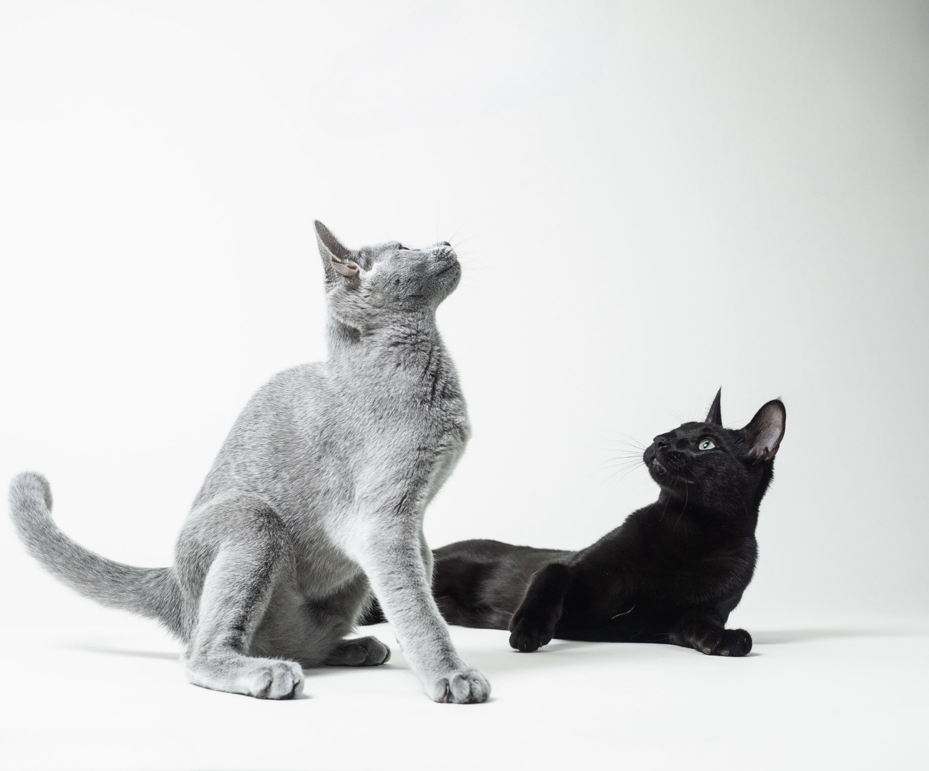 Планируемый Помет E - 2026